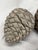 Sculpture Materials Late 20th Century Concrete Pinecones - A Grouping of Three Garden Sculptures For Sale - Image 7 of 12