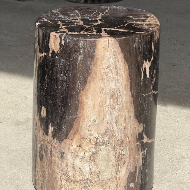 Side Table in Black Petrified Wood with Beige Fine Mesh Pattern For Sale - Image 14 of 18
