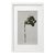Contemporary 9.5" by 14.2" Unframed Organic Modern Original Botanical Floral Painting For Sale - Image 3 of 3