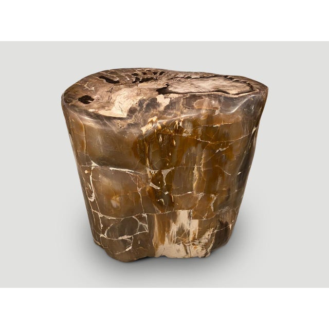 Contemporary Andrianna Shamaris Ancient Petrified Wood Side Table For Sale - Image 3 of 6