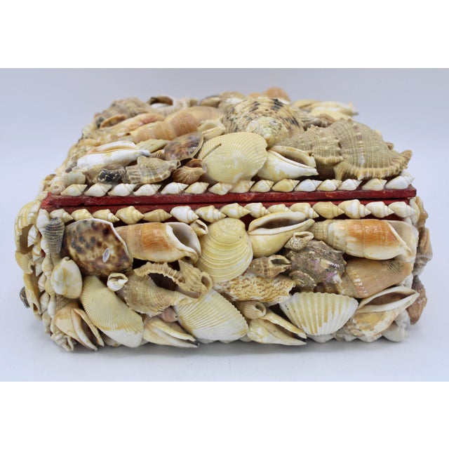 Large Vintage Seashell Encrusted Jewelry Box For Sale - Image 10 of 12