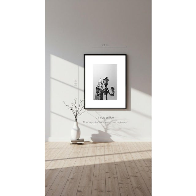 Paul Cooklin, Pigeons, Saint Marks Square, Edition of 50 For Sale - Image 6 of 7