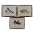 Three Gould Hand-Colored Lithographs From Birds of Australia and New Zealand, 1840-1848 For Sale