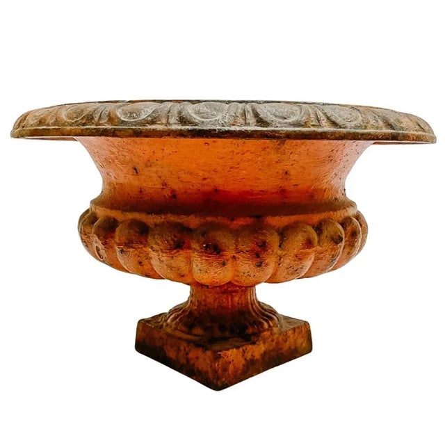 Brown Antique French Cast Iron Planters - a Pair For Sale - Image 8 of 12