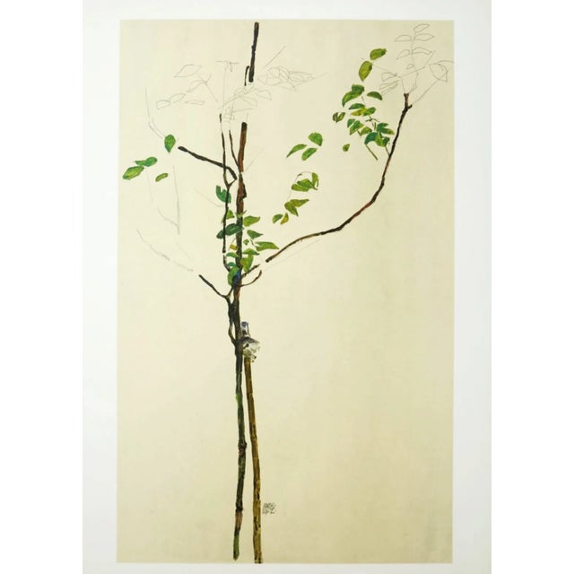 Artist:Egon Schiele Country:Austria Title:Young Tree Medium:Lithograph – 28 Marks:Signed in plate Printed:1968 by Max...