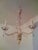 Jl Lobmeyr Colored Crystal Chandelier For Sale - Image 10 of 11