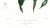 Realism Large 1973 Orchid Flower Lithograph "Chysis Laevis" (Smooth-Lipped Chysis) After James Bateman For Sale - Image 3 of 7