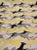 Modern Schumacher Diamond Dogs Chartreuse 173720 Designer Fabric - 36.5 Yards For Sale - Image 3 of 5