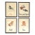 Vintage Framed Children’s Storybook Prints – Set of 4 Whimsical Nursery Illustrations For Sale