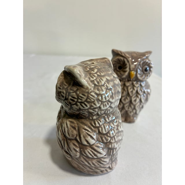 Vintage Ceramic Owl Salt and Pepper Shakers — A Pair For Sale - Image 4 of 10