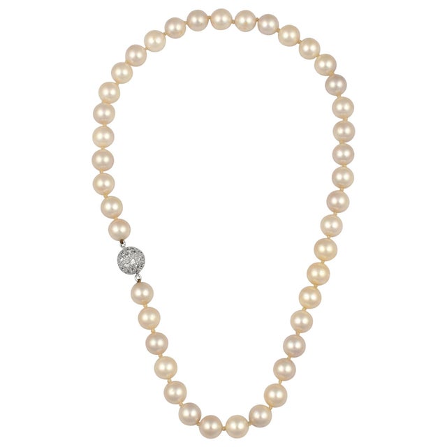 41 Round Akoya Pearls Strand Necklace Set in Metal Ball Clasp For Sale - Image 15 of 18
