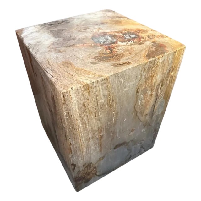 Andrianna Shamaris Petrified Wood Side Table with Cracked Resin For Sale