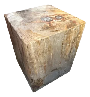 Andrianna Shamaris Petrified Wood Side Table with Cracked Resin