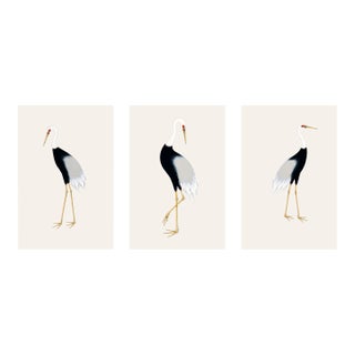Japanese Crane Triptych, Set of 3 Art Prints, 24" X 36" For Sale