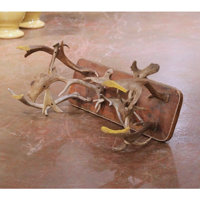 Early 20th Century Austrian Black Forest Antler Bench With Leather Seat For Sale - Image 9 of 9