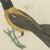 Beige Bertuch, Five Exotic Birds, 1805, Print For Sale - Image 8 of 12