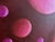 Textile Paul Brach, Color Gradient Paul Brach Spheres Pink & Crimson Abstract Oil Painting New York For Sale - Image 7 of 18
