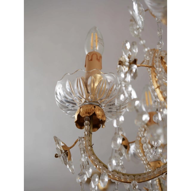 Italian Crystal Chandelier Mechini Firenze For Sale - Image 9 of 16