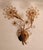 Mid-Century Modern Hollywood Regency Gold-Plated Brass Wall Lamps with Swarovski Crystals from Ernst Palme Palwa, 1960s, Set of 3 For Sale - Image 12 of 18
