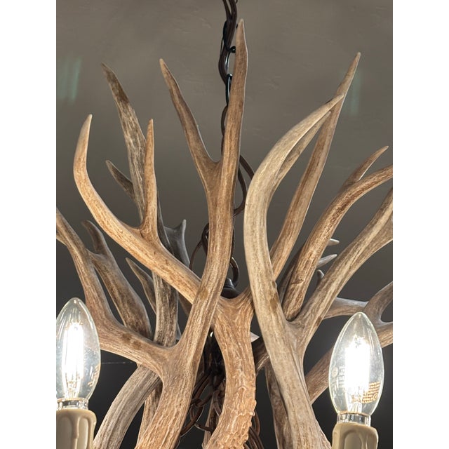 Taupe Vintage Antler Chandelier For Sale - Image 8 of 9
