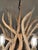 Taupe Vintage Antler Chandelier For Sale - Image 8 of 9
