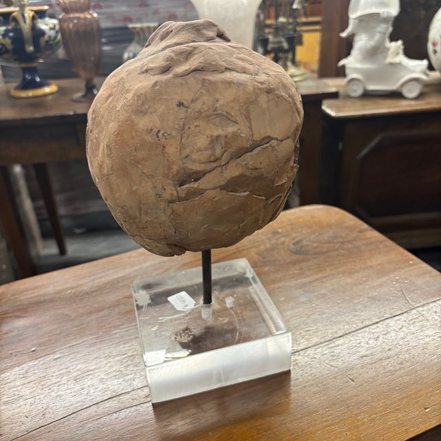 Ceramic 19th Century Terracotta Putto Angel Head Sculpture on Acrylic Base For Sale - Image 7 of 10