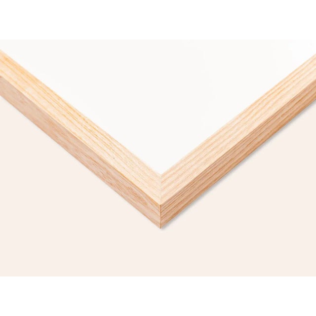 Botanical Drawings, 18th Century, Colored Copper Engraving For Sale - Image 11 of 13