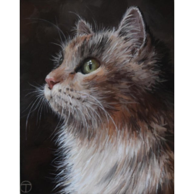 Original Artist Signed Cat Portrait Oil Painting Including the Antiqued ...