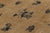 Chinese Antique Chinese Peking Rug in Beige and Blue With Floral Patterns - Rug & Kilim For Sale - Image 3 of 8