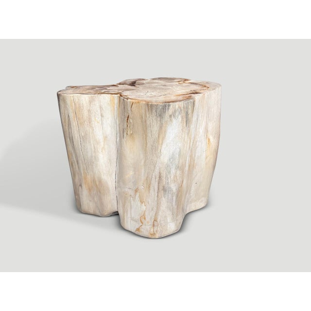Beautiful rare tones and shape on this high quality petrified wood side table. It’s fascinating how Mother Nature produces...
