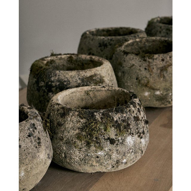 Vintage Concrete Planter, France For Sale - Image 13 of 18