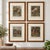 Late 19th Century Louis Prang Deer Engravings in Burl Wood Style Frames - Set of 4 ​An exceptional matching set of four...