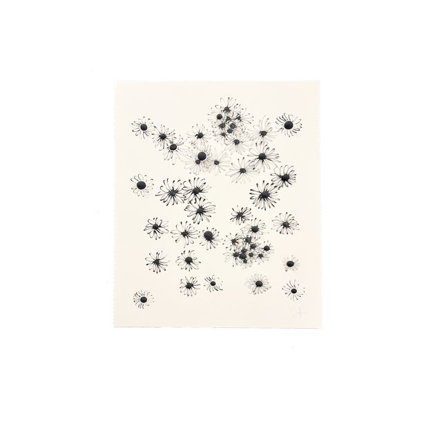 Original abstract floral ink drawing in black and white on paper. Organic daisy-inspired forms with expressive linework...