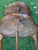 Vintage French Style Two Tier Table Dessert Parlor With Inlays For Sale - Image 16 of 17