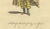 European School Artist, Habit of a Woman of Fez in Africa, 1749, Engraving For Sale - Image 6 of 10