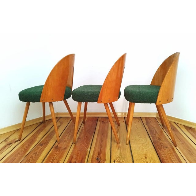 Wood Dining Chairs attributed to A. Suman for Tatra Nabytok, Former Czechoslovakia, 1960s, Set of 3 For Sale - Image 7 of 15
