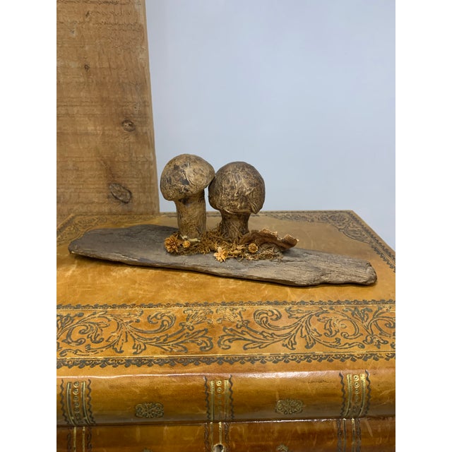 Wood Pair of Late 19th Century French Folk Art Instructional Mushroom Specimens For Sale - Image 7 of 11