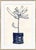 Contemporary Fiddleleaf and Palm by Susan Hable For Sale - Image 3 of 4