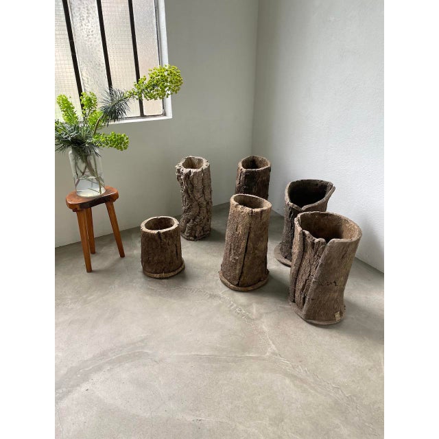 Cork Oak Hives, 1950s, Set of 6 For Sale - Image 14 of 18