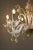 Murano Glass Sea Horse Chandelier by Barovier & Toso, 1900s For Sale - Image 4 of 16
