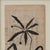 Contemporary Pétale Drawing by Afsoon Thayer For Sale - Image 3 of 10