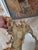 Late 18th Century Venetian Chinoiserie Mirror For Sale - Image 13 of 17