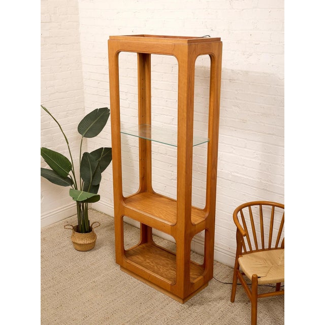 Mid-Century Modern Oak Vintage Bookshelf With Glass For Sale - Image 3 of 12