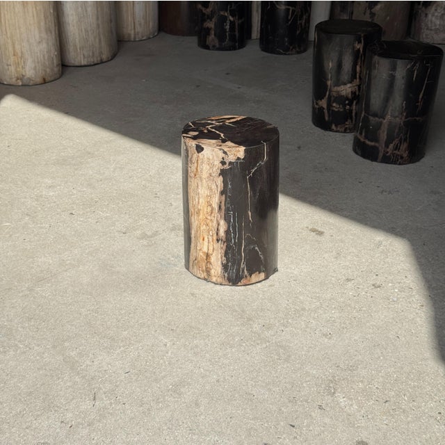 Side Table in Black Petrified Wood with Beige Stripes and Sides For Sale - Image 12 of 18