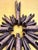 Metal Wolfgang Haaf, Monumental Brutalist Bronze Cross / Wall Sculpture Attributed to Walter Haaf Germany, 1960s, 1960s, Bronze For Sale - Image 7 of 18