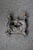 Brown Victorian Cast Iron Griffin Boot Scraper For Sale - Image 8 of 8