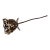 Ahmeau Contemporary Geometric Bronze Rose Sculpture - "Love" For Sale