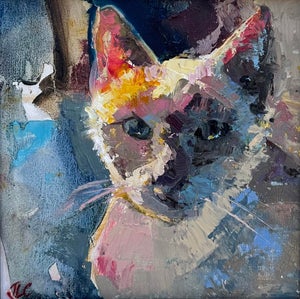 Bluepoint by Jessica Cook | Oil on Canvas Mounted on Panel Cat Portrait
