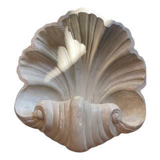 Plaster Shell Wall Lamp, 1950s For Sale