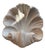 Plaster Shell Wall Lamp, 1950s For Sale